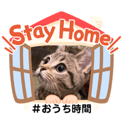 [LINEスタンプ] Stay Home もかにゃん❤︎ NEWの画像（メイン）