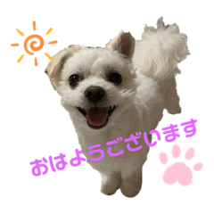 [LINEスタンプ] めぐぷー