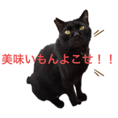 [LINEスタンプ] うちのたんこ2