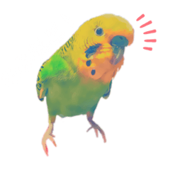[LINEスタンプ] セキセイインコのハルくん