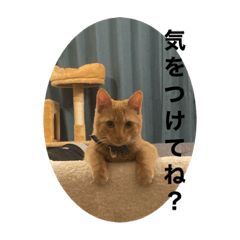[LINEスタンプ] こねスタ4