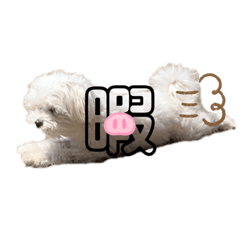 [LINEスタンプ] れいちゃん日記2