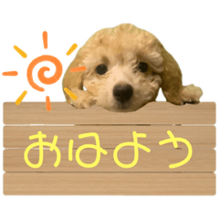 [LINEスタンプ] ジェネのスタンプ