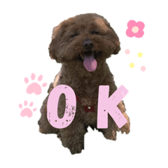 [LINEスタンプ] とびーくん