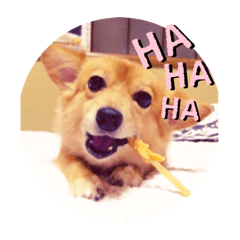 [LINEスタンプ] 大好きれおん
