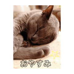 [LINEスタンプ] riri.akubi.mei