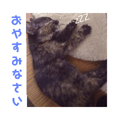 [LINEスタンプ] うちのペットたち！