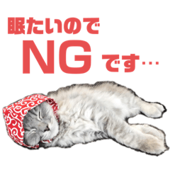 [LINEスタンプ] いつも寝ているミミ