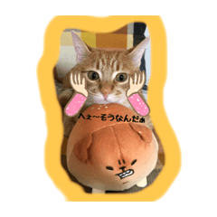 [LINEスタンプ] 日常で使えるにゃんことわんこのスタンプ