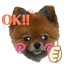 [LINEスタンプ] おはなちょろげ