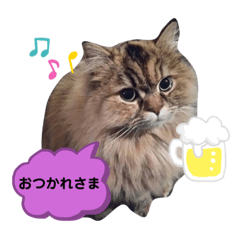 [LINEスタンプ] わかちゃんとふくちゃん