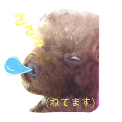 [LINEスタンプ] うちのリリィ♡