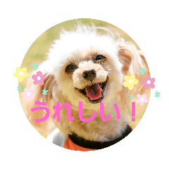 [LINEスタンプ] リアンの日常♫