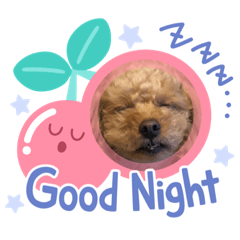 [LINEスタンプ] もかちゃんのきもち
