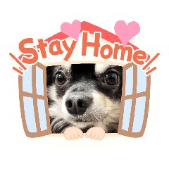 [LINEスタンプ] マンゴーのまゆげ