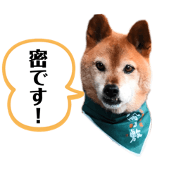 [LINEスタンプ] 今日の氷土くん その②
