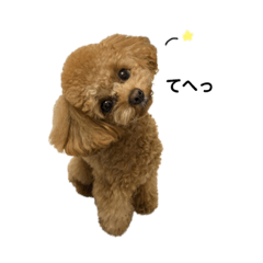 [LINEスタンプ] ポムたんです！2