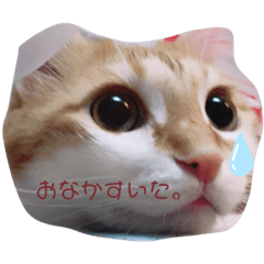 [LINEスタンプ] グルとネル