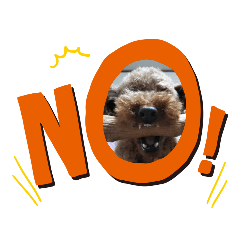 [LINEスタンプ] 我が家のムック