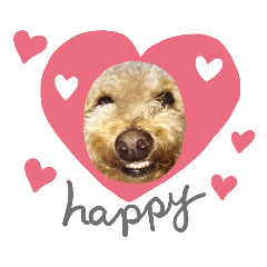 [LINEスタンプ] うちのワンチャンず