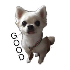 [LINEスタンプ] ちっったん