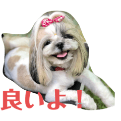 [LINEスタンプ] ノエルの日常会話