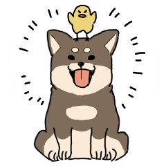 [LINEスタンプ] 柴わんちゃんととりさん