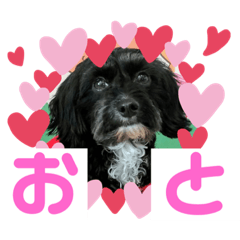 [LINEスタンプ] おとちゃん（いぬ）