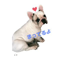 [LINEスタンプ] フレンチブルドッグ＊バニー