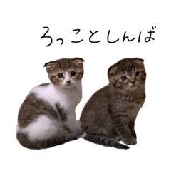 [LINEスタンプ] ろっことしんば