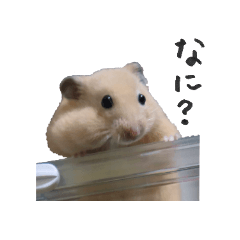 [LINEスタンプ] ルーン君のひとこと。