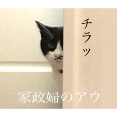 [LINEスタンプ] 相澤家の仲間たち01