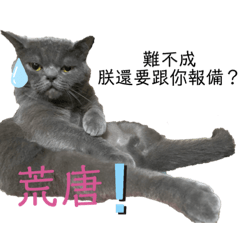 [LINEスタンプ] ダメ猫さんオーリバー