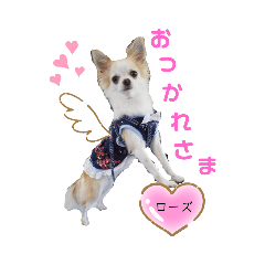 [LINEスタンプ] チワパピローズさんver.2