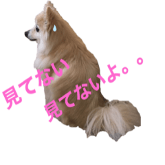 [LINEスタンプ] もふもふマリンちゃん2