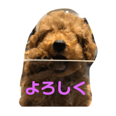 [LINEスタンプ] ふく君スタンプ