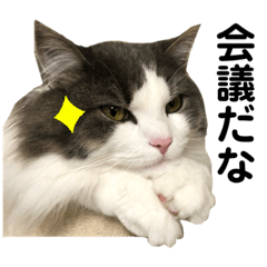 [LINEスタンプ] ラガマフィンのソルト