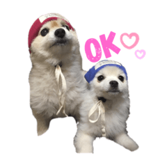 [LINEスタンプ] プリンとモコ