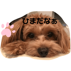 [LINEスタンプ] ゆるいラテくん