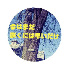 [LINEスタンプ] 大切な人を励ましたい時に