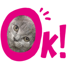 [LINEスタンプ] コペルと一緒