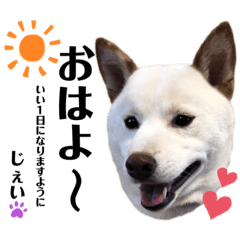 [LINEスタンプ] じぇいくんの日常2