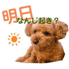 [LINEスタンプ] シェリーのつぶやき
