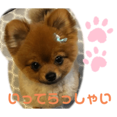 [LINEスタンプ] ぽんぴぃ2