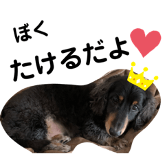 [LINEスタンプ] 愛犬たけるstamp