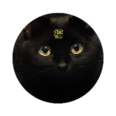 [LINEスタンプ] 黒猫の福ちゃん④