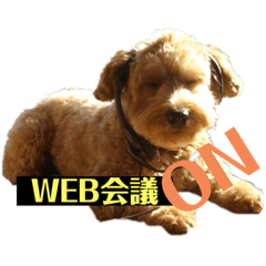 [LINEスタンプ] 三浦サンタのスタンプ3