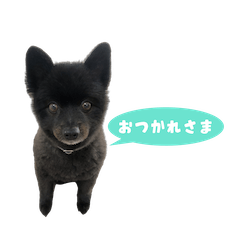 [LINEスタンプ] 癒しのくぅちゃんスタンプ