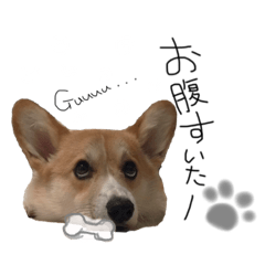 [LINEスタンプ] ★charmくんの日常
