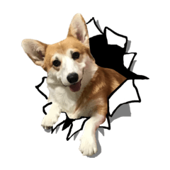 [LINEスタンプ] オリバー！！！